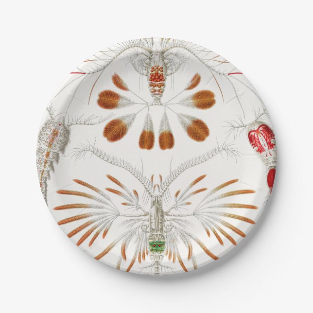 Marine Life Crustaceans, Copepoda von Ernst Haecke Pappteller (Vorderseite)