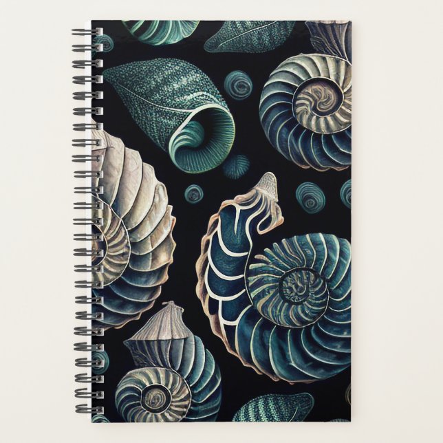 Marine Treasures Planer (Vorderseite)