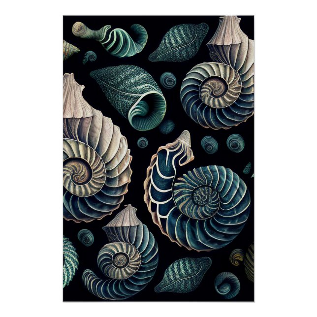 Marine Treasures Poster (Vorderseite)