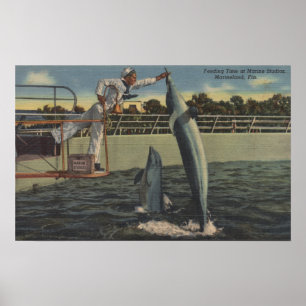 Marineland, Florida - Ansicht des Fütterns der Poster