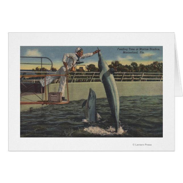 Marineland, Florida - Aussicht auf Fütternd Schwei (Vorderseite (Horizontal))