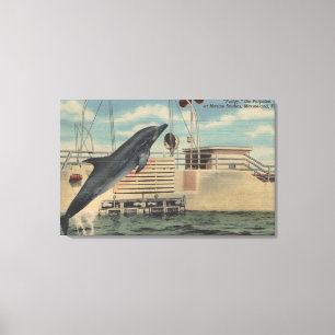 Marineland, Florida - Blick auf Pudgy, die Leinwanddruck
