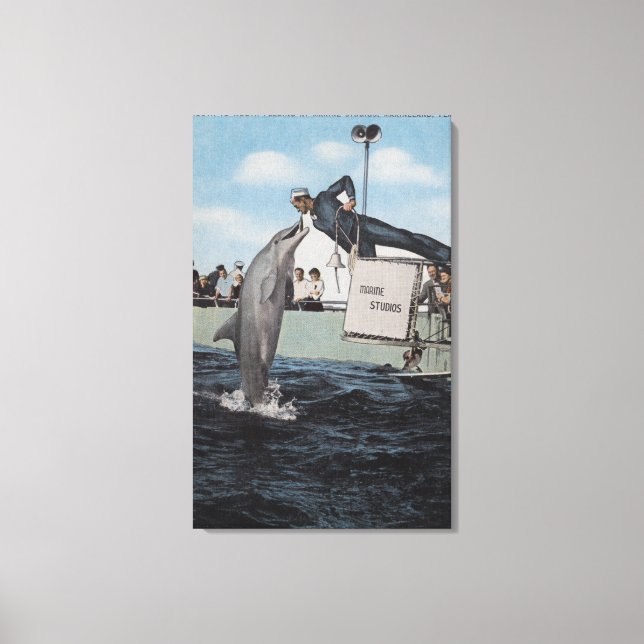 Marineland, Florida - Sailor Mouthfeed Leinwanddruck (Vorderseite)
