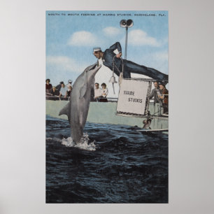 Marineland, Florida - Seemann Mouthfeeding Poster