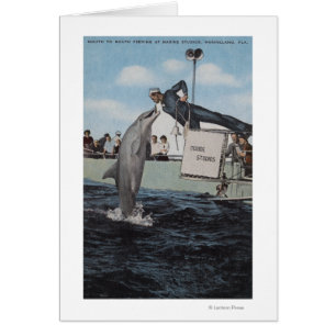 Marineland, Floride - Allaitement à la voile