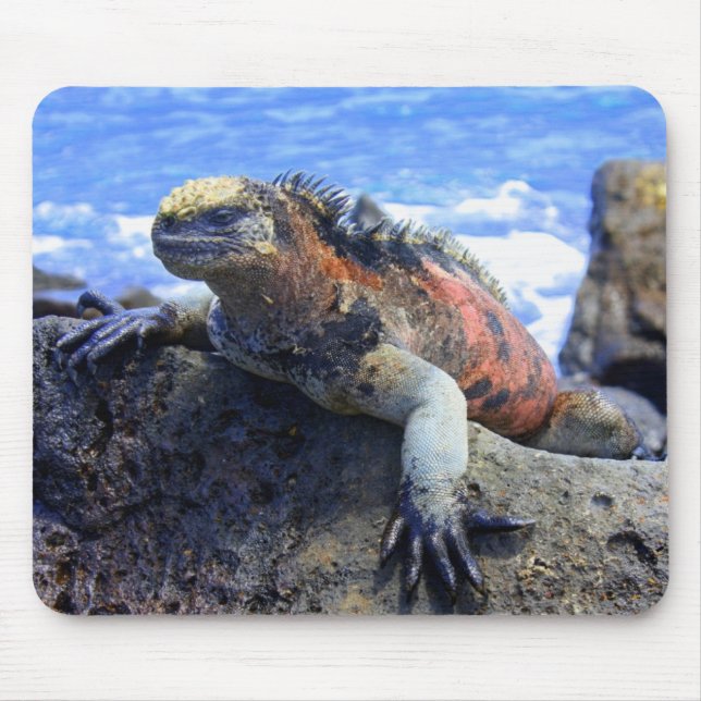 Marineleguan Mousepad (Vorne)