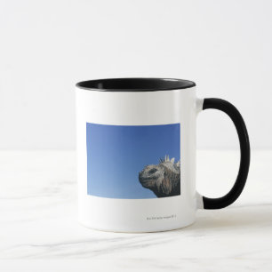 Marineleguan Tasse