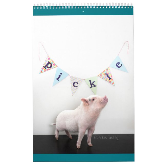 Marinez le calendrier de porc (Protection)