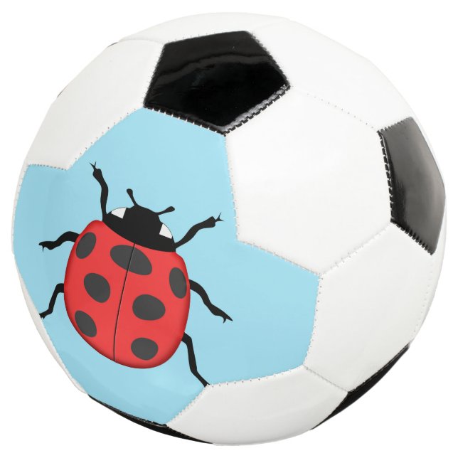 Marinkäfer Fußball (Dreiviertel)