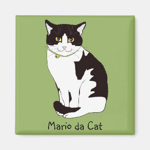 Mario da Cat Magnet