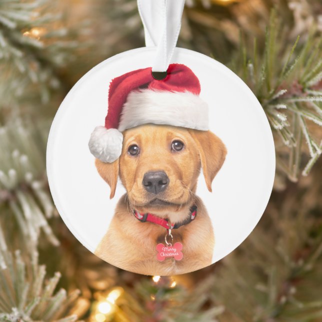 Marionnette de Noël Labrador à Santa Hat (Arbre)