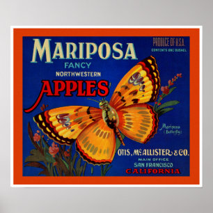 Mariposa Äpfel Poster
