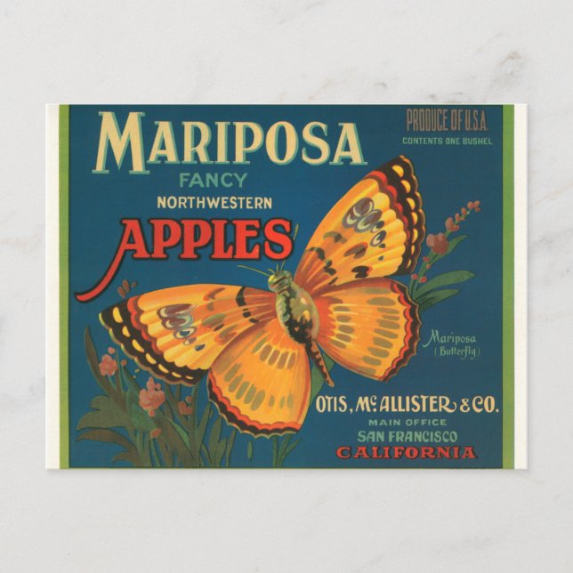 Mariposa Apples Postkarte (Vorderseite)