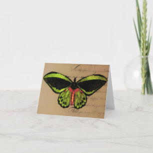 Mariposa ~ Carte / Invitations