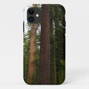 Mariposa Grove im Yosemite National Park Case-Mate iPhone Hülle