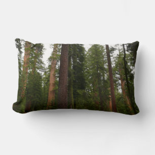 Mariposa Grove im Yosemite National Park Lendenkissen