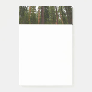 Mariposa Grove im Yosemite National Park Post-it Klebezettel