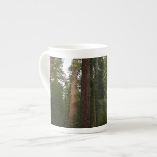 Mariposa Grove im Yosemite National Park Prozellantasse