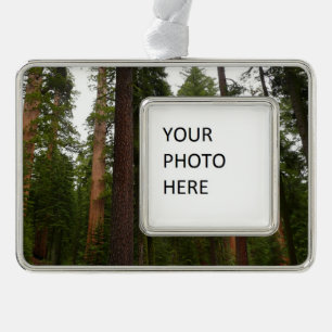 Mariposa Grove im Yosemite National Park Rahmen-Ornament Silber