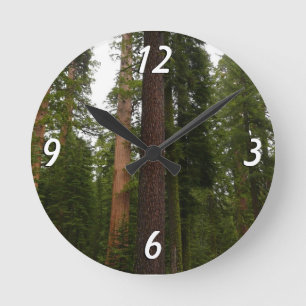 Mariposa Grove im Yosemite National Park Runde Wanduhr