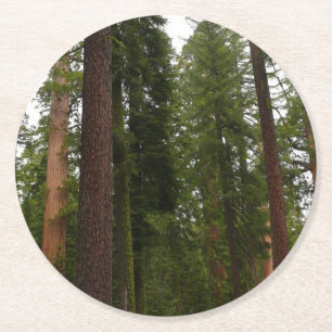Mariposa Grove im Yosemite National Park Runder Pappuntersetzer