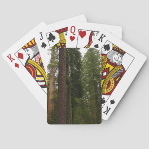 Mariposa Grove im Yosemite National Park Spielkarten