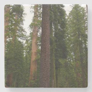 Mariposa Grove im Yosemite National Park Steinuntersetzer