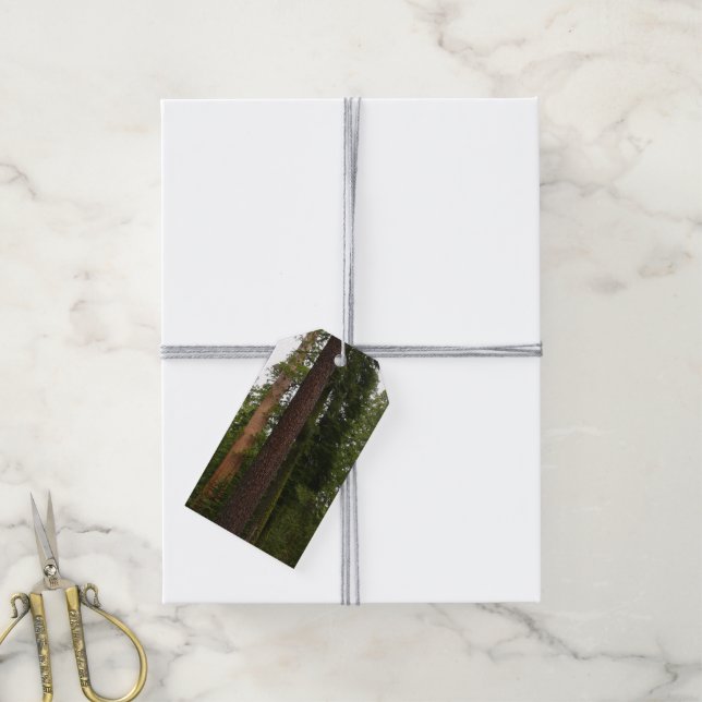 Mariposa Grove im Yosemite-Nationalpark Geschenkanhänger (Mit Garn)