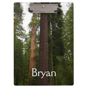Mariposa Grove im Yosemite-Nationalpark Klemmbrett