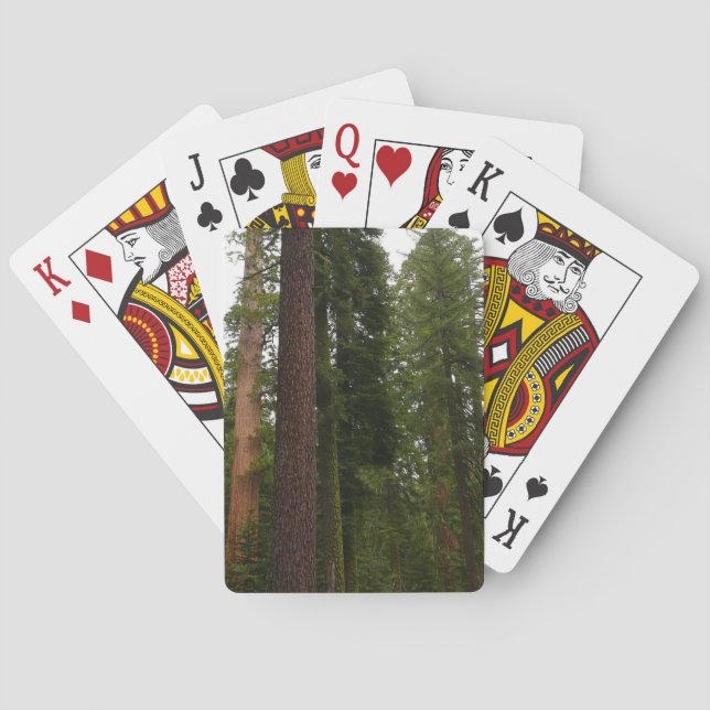 Mariposa Grove im Yosemite-Nationalpark Spielkarten (Rückseite)