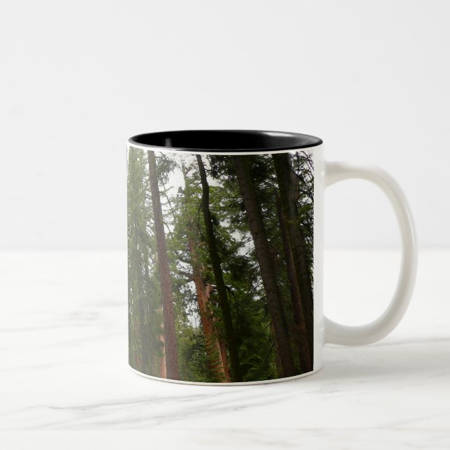 Mariposa Grove im Yosemite-Nationalpark Zweifarbige Tasse (Rechts)