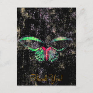 Mariposa ~ Postcard / Einladung Butterfly Postkarte