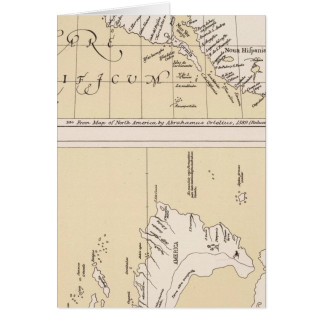 Maris Pacifici, Amérique (Devant)