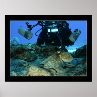 Mark und der Oktopus Poster