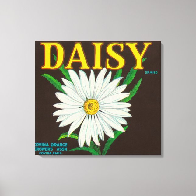 Marke Daisy Citrus Crate Label Leinwanddruck (Vorderseite)