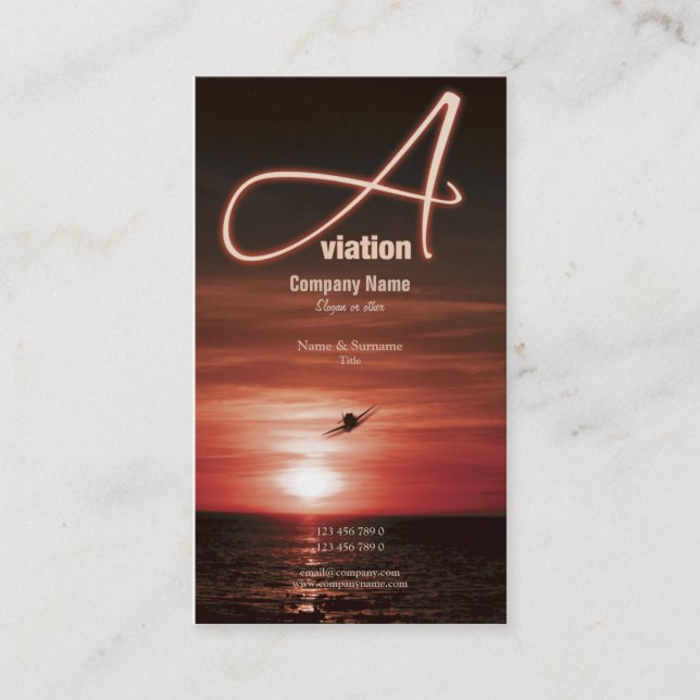 Marketing des Luftfahrtfliegen-Geschäfts Visitenkarte (Vorderseite)