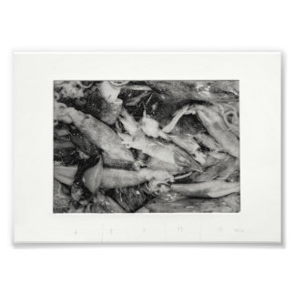 Marktorientierung Fotodruck