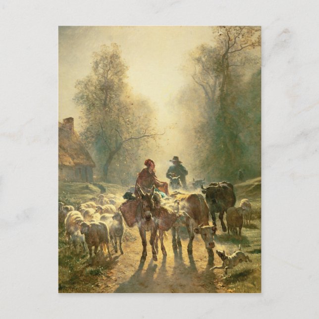 Marktstart Postkarte (Vorderseite)