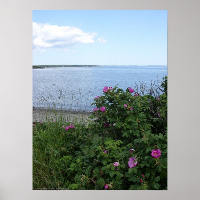 Marlboro Beach, affiche du Maine (Devant)