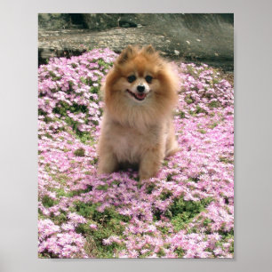 Marley mit rosa Blume Poster