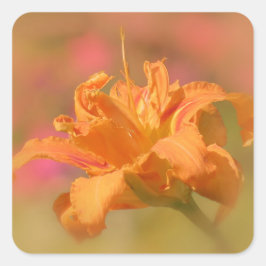 Marmalade - Taglilie Quadratischer Aufkleber