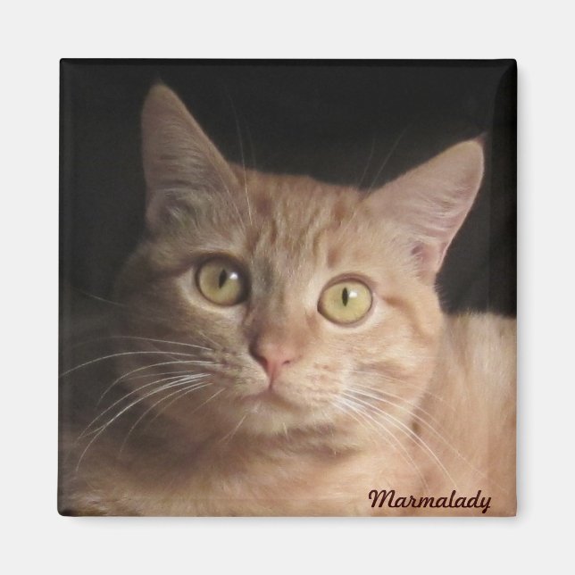 Marmalady Magnet (Vorne)