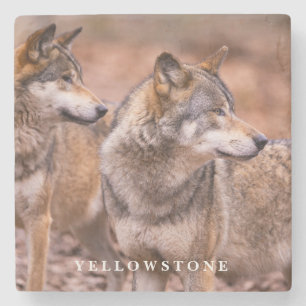 Marmorstone Untersetzer-Yellowstone Wolves Steinuntersetzer