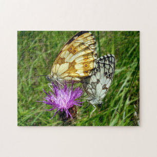 Marmorweißer Schmetterling Foto Puzzle