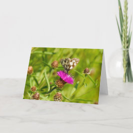 Marmorweißer Schmetterling Karte