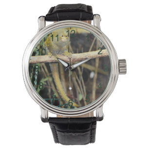 Marmoset-Affe auf Warnung, Mens-Armbanduhr Armbanduhr