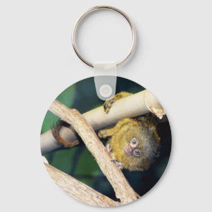 Marmoset Monkey Hallo da, Keyring Schlüsselanhänger