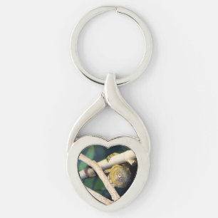 Marmoset Monkey Hallo, Metal Keyring Schlüsselanhänger