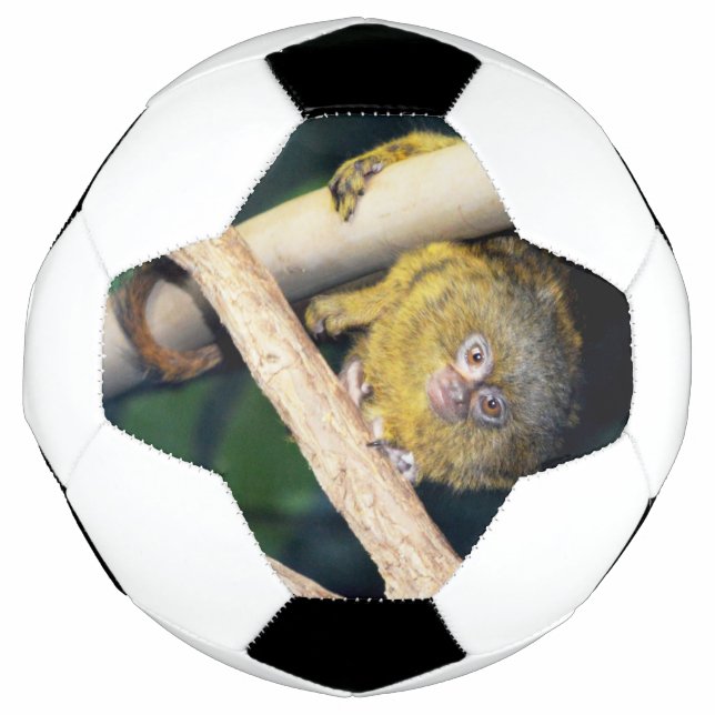 Marmoset Monkey Hi There, Fußball Ball (Vorderseite)