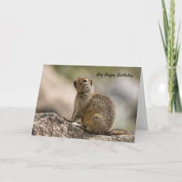 Marmot Birthday Card Karte